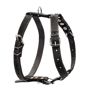 Шлея для собак Collar одинарна для середніх порід Ш 25 мм А:49-68 см В:68-80 см чорна (06381) зображення 1