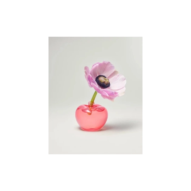 Парфумована вода Nina Ricci Nina Le Parfum 50 мл (3137370359487) - изображение 4