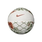 М'яч баскетбольний Nike Basketball 8P PRM Energy Deflated LT Orewood чорний, рожевий Уні 7 N.100.8259.915.07 (887791758125) - зменшене зображення 1