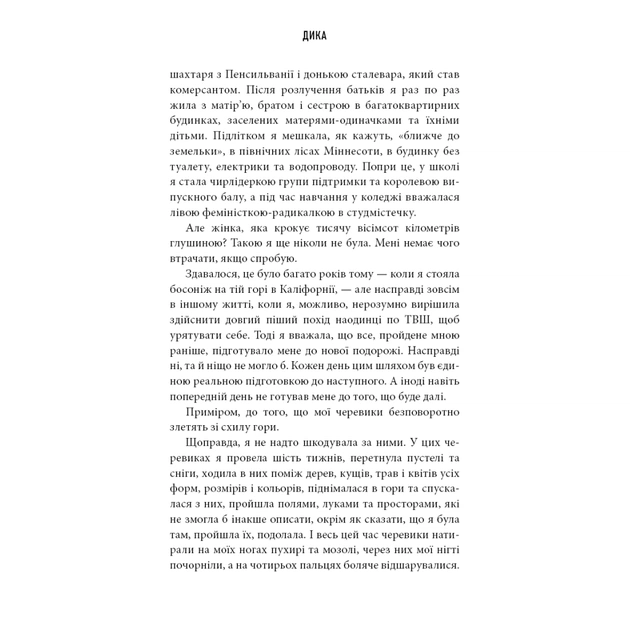 Книга Дика. Шлях від втрати до віднайдення себе - Шерил Стрейд BookChef (9786175482520) - picture 9