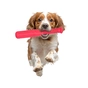 Іграшка для собак PitchDog Бита для апортировки Д 35 см рожева (62407) - зменшене зображення 4