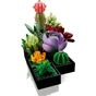 Конструктор LEGO Botanicals Сукуленти (10309-) - зменшене зображення 4