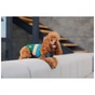 Светр для тварин Pet Fashion Happy L (4823082436132) - зменшене зображення 5