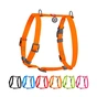 Шлея для собак WAUDOG Waterproof Н-подібна анатомічна М помаранчева (32814) - зменшене зображення 1