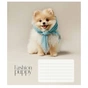 Тетрадь Школярик Star Fashion pets 18 листов линия (018-3687L) - уменьшенное изображение 5