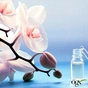 Кондиціонер для волосся OGX Orchid Oil для захисту кольору фарбованого волосся 385 мл (0022796972415) - зменшене зображення 8