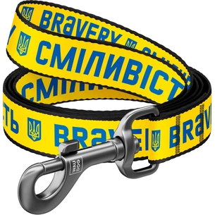 Повідок для собак WAUDOG Nylon "Сміливість" S Ш 15 мм (4915-0231) зображення 1