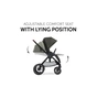 Коляска Hauck 2 в 1 Walk N Care Air (Dark Olive) (16549-2) - зменшене зображення 4