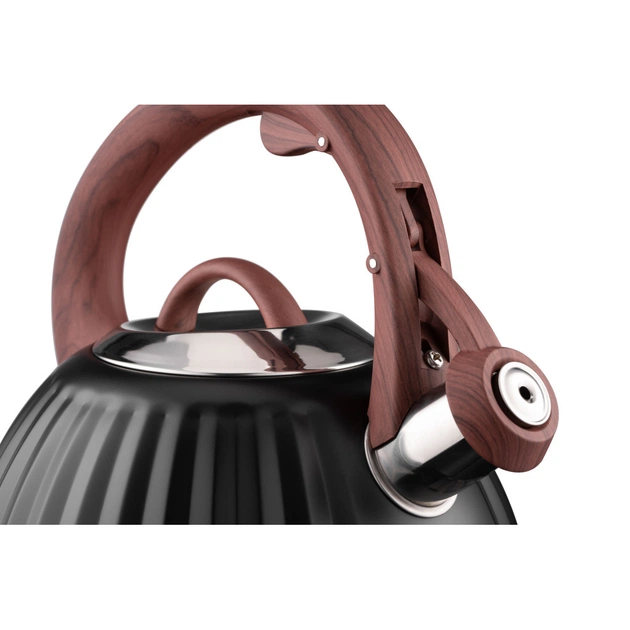 Чайник Ardesto Gemini 2.5 л Чорний (AR1958KS) - picture 9