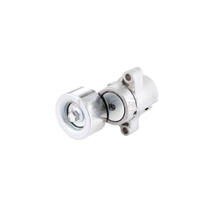 Натягувач ременя з роликом SNR GA370.06 зображення 1