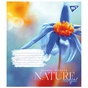 Зошит Yes А5 Nature colorful 48 аркушів лінія (767130) - зменшене зображення 4
