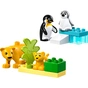 Конструктор LEGO DUPLO Town Сімейства диких тварин: Пінгвіни та Леви (10442) - зменшене зображення 2