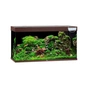Акваріум Juwel Rio 350 LED 121х66х51 см 350 л прямий (коричневий) (4022573077506) - зменшене зображення 1