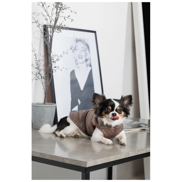 Жилет для тварин Pet Fashion Hardy М2 (4823082437467) - picture 7