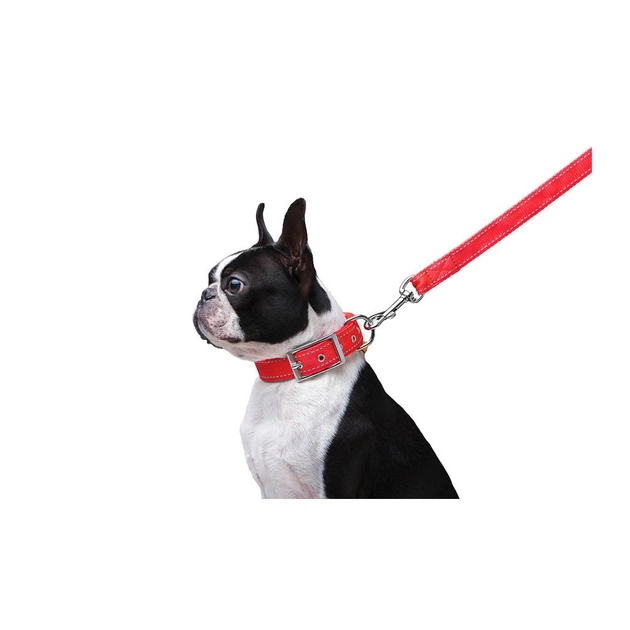 Повідець для собак Dog Extreme з нейлону подвійний Ш 20 мм Д 122 см червоний (42983) - picture 4