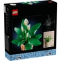 Конструктор LEGO Botanicals Спатифілум (11504) - зменшене зображення 7