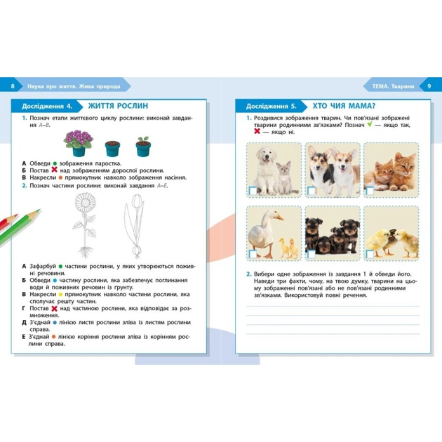 Робочий зошит STEM-старт. 3 клас. Наука про життя - І.В. Потапенко, О.А. Дубовик, О.В. Онопрієнко Ранок (9786170995506) - picture 3