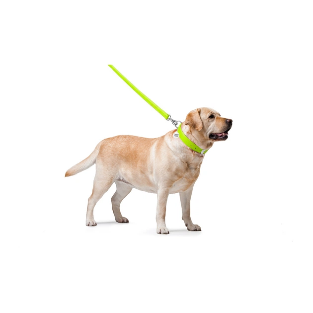 Повідець для собак WAUDOG Glamour шкіряний M-XXL салатовий (33765) - picture 3