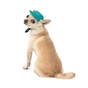 Кепка для тварин Pet Fashion Rob бірюзова ХL (4823082441419) - зменшене зображення 2