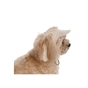 Кепка для животных Pet Fashion Glamor М (4823082445912) - уменьшенное изображение 4
