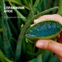 Шампунь Herbal Essences Зволоження Алое 350 мл (8700216211048) - зменшене зображення 2