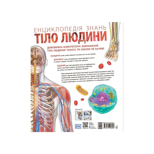 Книга Енциклопедія знань. Тіло людини - Філіп Базеліс, Пітер Крісп, Стів Хоффман Ранок (9786170993953) - изображение 12