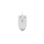 Мишка A4Tech N-530S USB White (4711421988315) - зменшене зображення 10