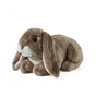 М'яка іграшка Keycraft Темно-коричневий вухатий кролик 24см (6337368) - зменшене зображення 1