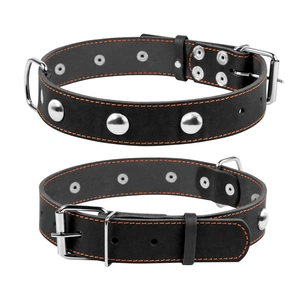 Нашийник для тварин Collar одинарний з прикрасами Ш 35 мм Д 48-63 см чорний (02711) зображення 1