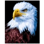 Картина по номерам Strateg Орел 40х50 см (VA-2827) - зменшене зображення 1