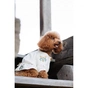 Футболка для тварин Pet Fashion Maryana XS2 (4823082439287) - зменшене зображення 9