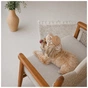 Кепка для тварин Pet Fashion Print XL (4823082446070) - зменшене зображення 5