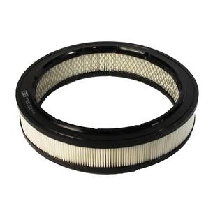 Повітряний фільтр для автомобіля Champion CAF100102R зображення 1