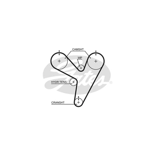 Ремінь ГРМ Gates 5674XS зображення 1