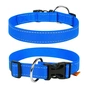 Нашийник для тварин Collar Dog Extremе 30 мм 35-58 см (блакитний) (67002) - зменшене зображення 1