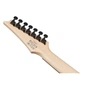 Электрогитара Ibanez RGA742EX-BAM (302354) - уменьшенное изображение 7