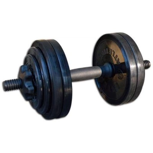 Гантель InterAtletika 15кг Black (СТ 530.15) зображення 1