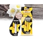 Ароматизатор для автомобіля Areon Vanilla Black 5 мл (83484) - зменшене зображення 2