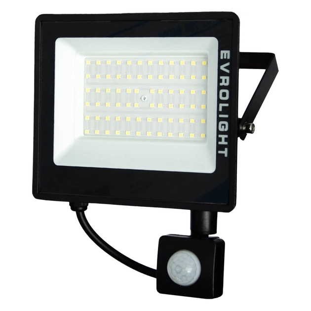 Прожектор EVROLIGHT FM-01D-50 50W 6400К - picture 2