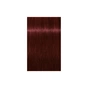Фарба для волосся Schwarzkopf Professional Igora Royal 4-88 60 мл (4045787204445) - зменшене зображення 2