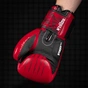 Боксерські рукавички Phantom Muay Thai Red 12 унцій (PHBG2505-12) - уменьшенное изображение 10
