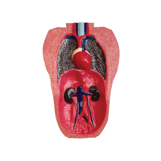 Пазл 4D Master Горила (FM-622012) - picture 12