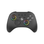 Геймпад GamePro GPX13B 2.4G/BT 5.1/USB/PC/iOS/Android RGB Black (GPX13B) - зменшене зображення 1