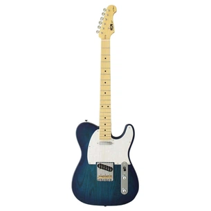 Електрогітара FGN Neo Classic See-Thru Blue Burst (NTE100MAH-SBB) зображення 1