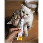 Паста для тварин GimCat Expert Line Kitten вітамінізована 50 г (4002064920191) - зменшене зображення 5