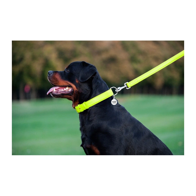 Повідець для собак WAUDOG Glamour шкіряний M-XXL салатовий (33765) - picture 8