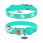 Нашийник для тварин WAUDOG Glamour з QR-паспортом "Зірочка" XS Ш 15 мм Д 27-36 см ментоловий (358513) - зменшене зображення 1