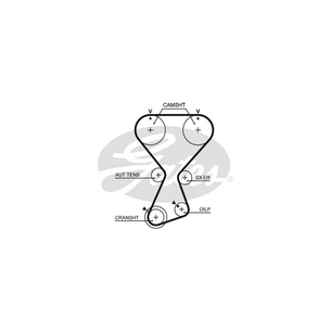 Ремінь ГРМ Gates T313 зображення 1