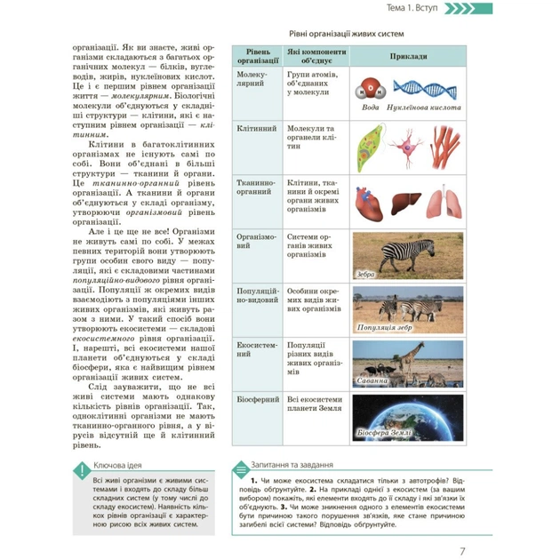 Підручник Біологія і екологія. Профільний рівень. 10 клас - К.М. Задорожний, О.М. Утєвська Ранок (9786170943620) - зображення 8