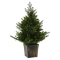 Штучна ялинка Chomik в горщику з підсвіткою 90 LED, 90 см (5900779899087) - уменьшенное изображение 2